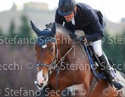 Del Covillo Quintilianus GioCav2013 S5 3291 : Campionati Italiani Giovani Cavalli, Cattolica, Del Covillo Fabio, Quintilianus, ph Stefano Secchi ©